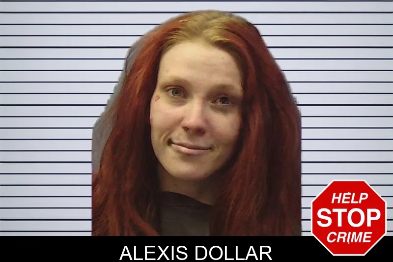Alexis Dollar mugshot – Chattooga County , Georgia Alexis Dollar mugshot