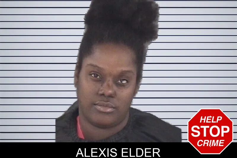 Alexis Elder mugshot – Spalding County , Georgia Alexis Elder mugshot