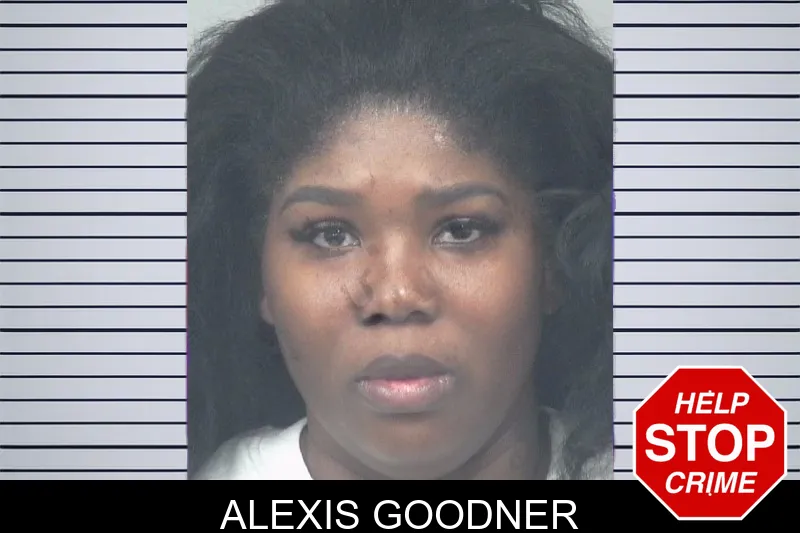 Alexis Goodner mugshot – Gwinnett County , Georgia Alexis Goodner mugshot