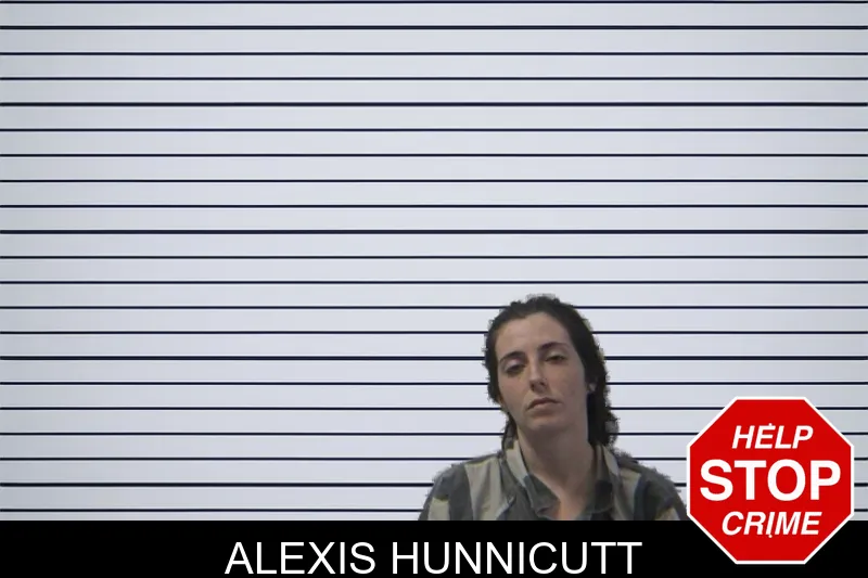 Alexis Hunnicutt mugshot – Stephens County , Georgia Alexis Hunnicutt mugshot