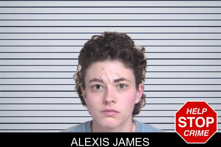 Alexis James mugshot – Walker County , Georgia Alexis James