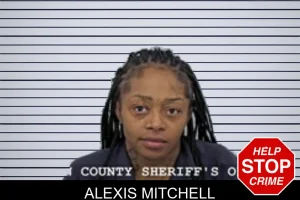 Alexis Mitchell mugshot
