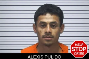 Alexis Pulido mugshot