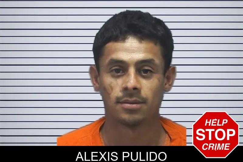 Alexis Pulido mugshot – Cherokee County , Georgia Alexis Pulido mugshot