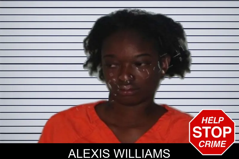 Alexis Williams mugshot – Seminole County , Georgia Alexis Williams mugshot