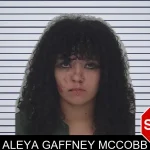 Aleya Gaffney McCobb mugshot