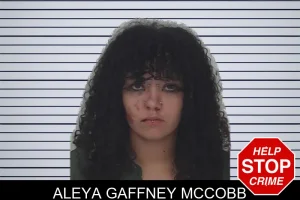 Aleya Gaffney McCobb mugshot