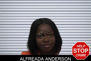 Alfreada Anderson mugshot