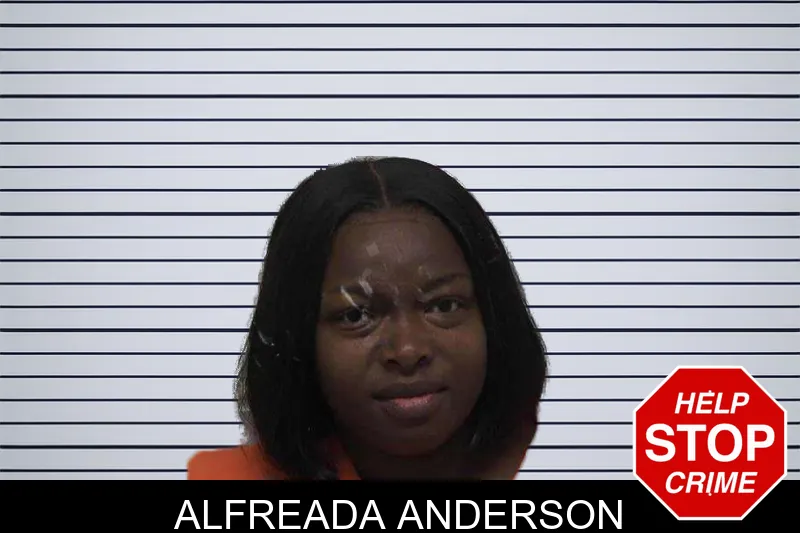 Alfreada Anderson mugshot