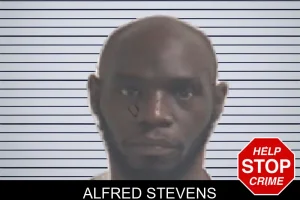 Alfred Stevens mugshot
