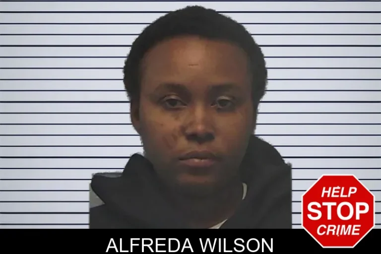 Alfreda Wilson mugshot – Ware County , Georgia Alfreda Wilson
