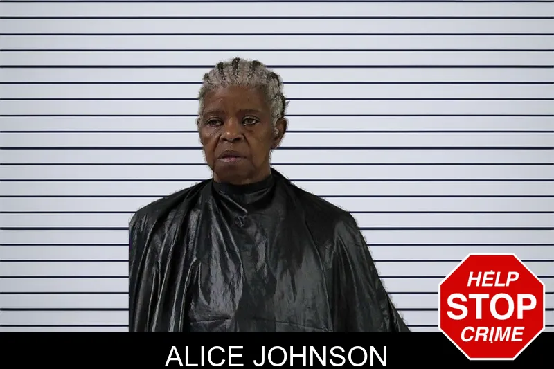 Alice Johnson mugshot – Elbert County , Georgia Alice Johnson mugshot