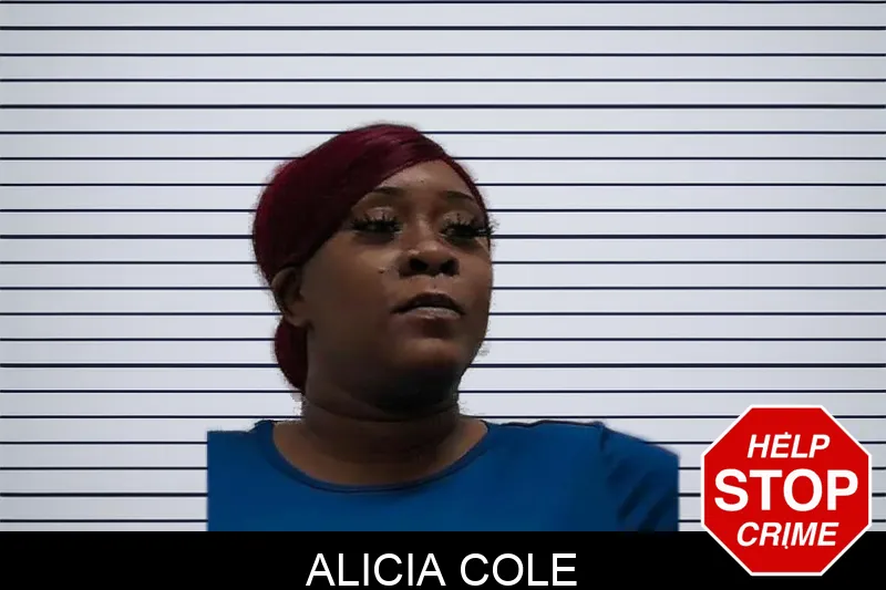 Alicia Cole mugshot – Pierce County , Georgia Alicia Cole mugshot