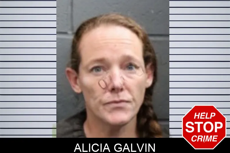 Alicia Galvin mugshot – Forsyth County , Georgia Alicia Galvin mugshot