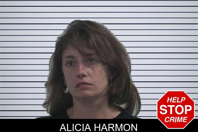 Alicia Harmon mugshot – McDuffie County , Georgia Alicia Harmon mugshot