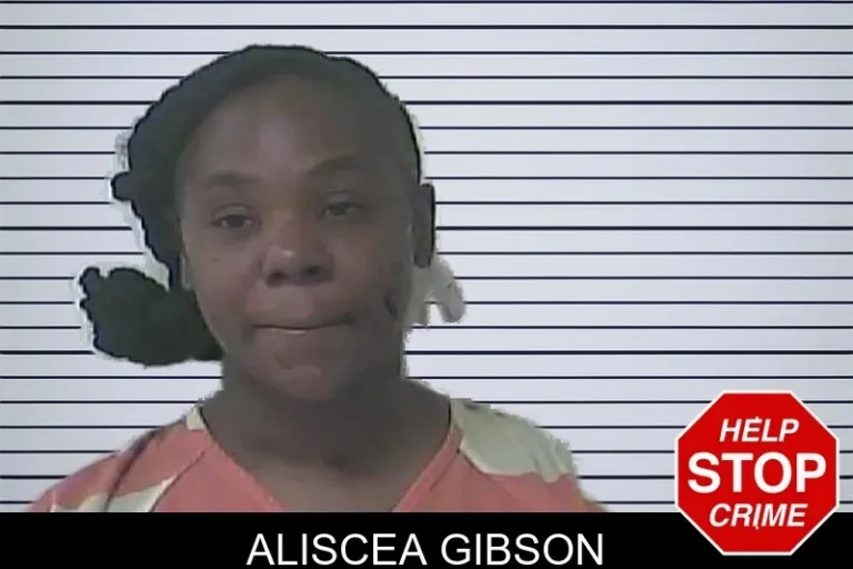Aliscea Gibson mugshot – Oconee County , Georgia Aliscea Gibson
