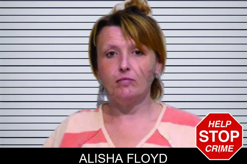 Alisha Floyd mugshot – Bartow County , Georgia Alisha Floyd mugshot