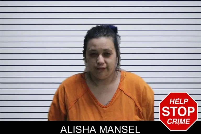 Alisha Mansel mugshot – Hall County , Georgia Alisha Mansel