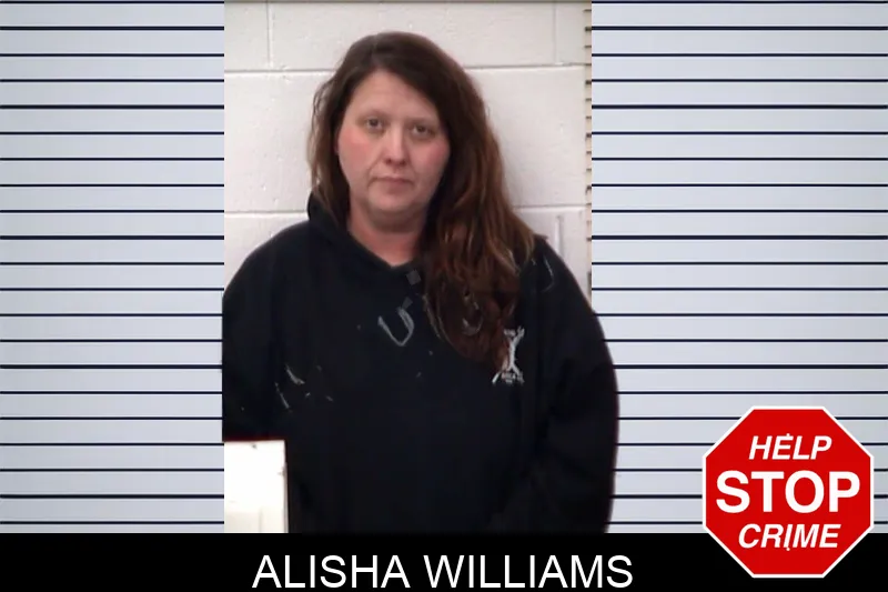 Alisha Williams mugshot – Emanuel County , Georgia Alisha Williams mugshot