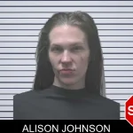 Alison Johnson mugshot
