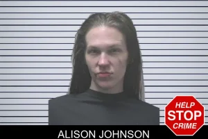 Alison Johnson mugshot