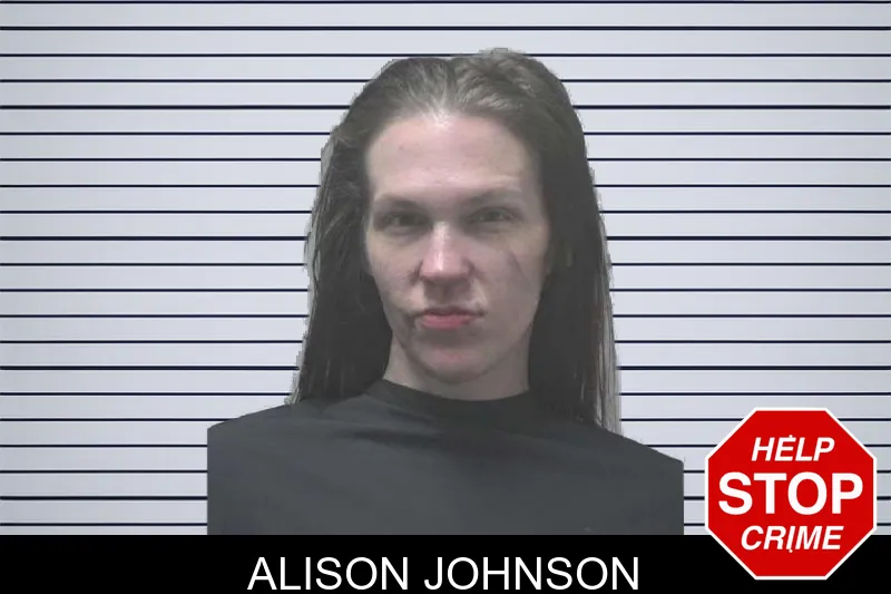 Alison Johnson mugshot