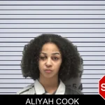 Aliyah Cook mugshot