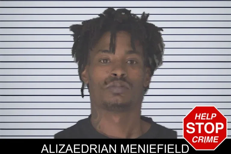 Alizaedrian Meniefield