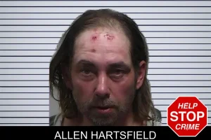 Allen Hartsfield mugshot