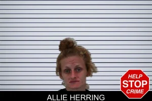 Allie Herring mugshot