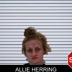 Allie Herring mugshot