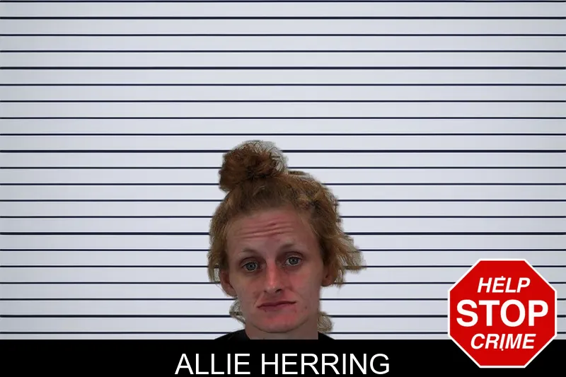 Allie Herring mugshot