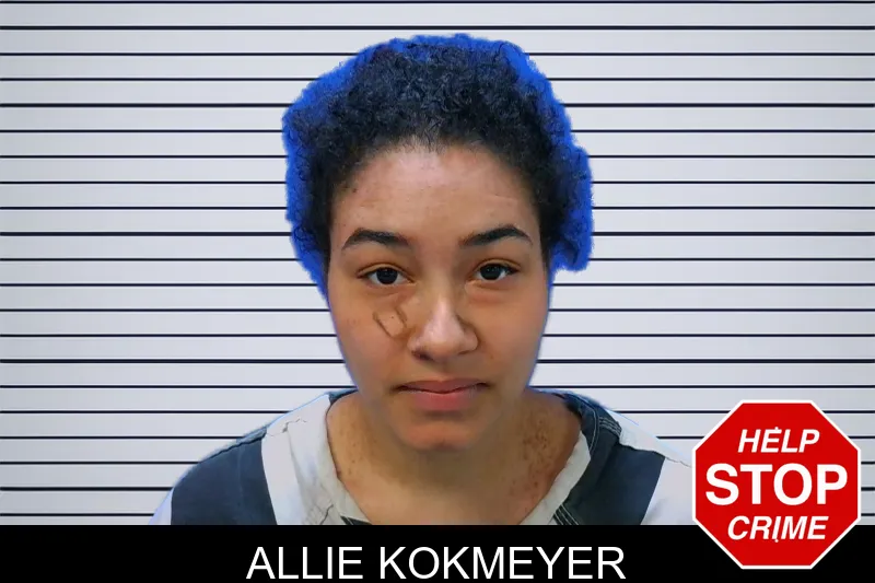 Allie Kokmeyer mugshot