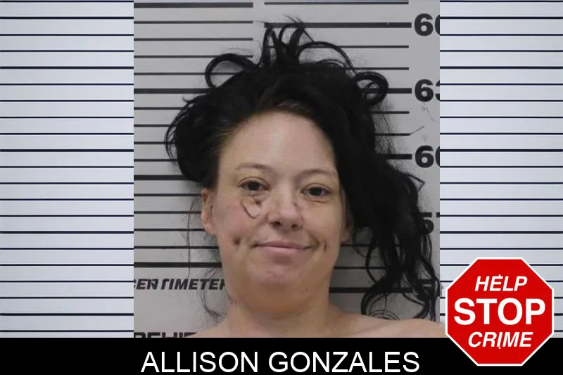Allison Gonzales mugshot
