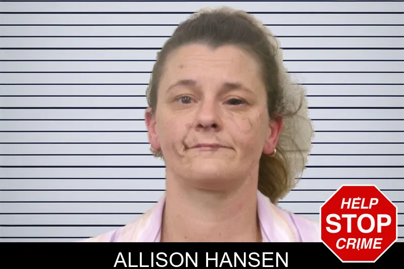 Allison Hansen mugshot