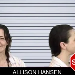 Allison Hansen mugshot