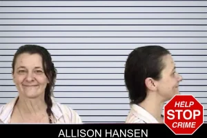 Allison Hansen mugshot