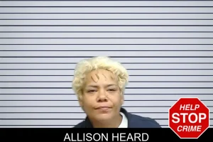 Allison Heard mugshot