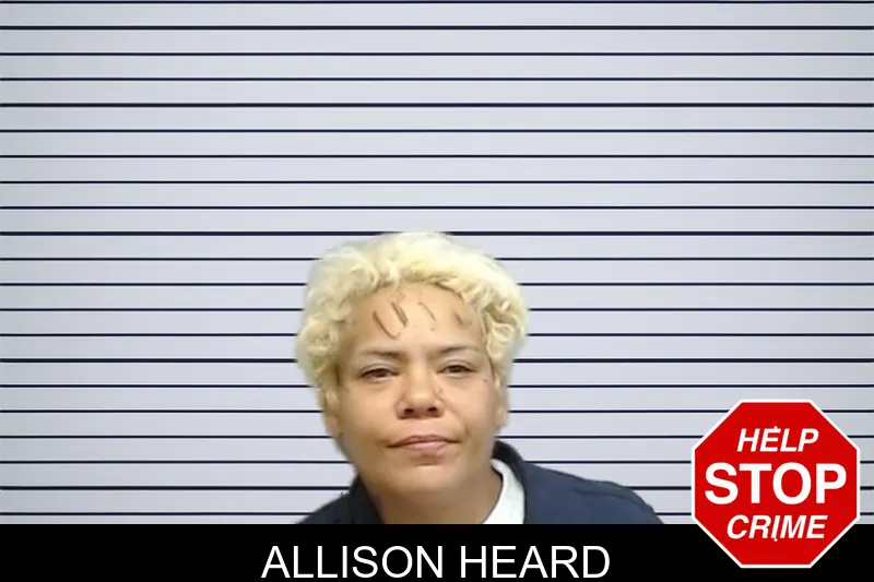 Allison Heard mugshot