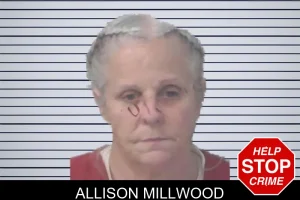 Allison Millwood mugshot