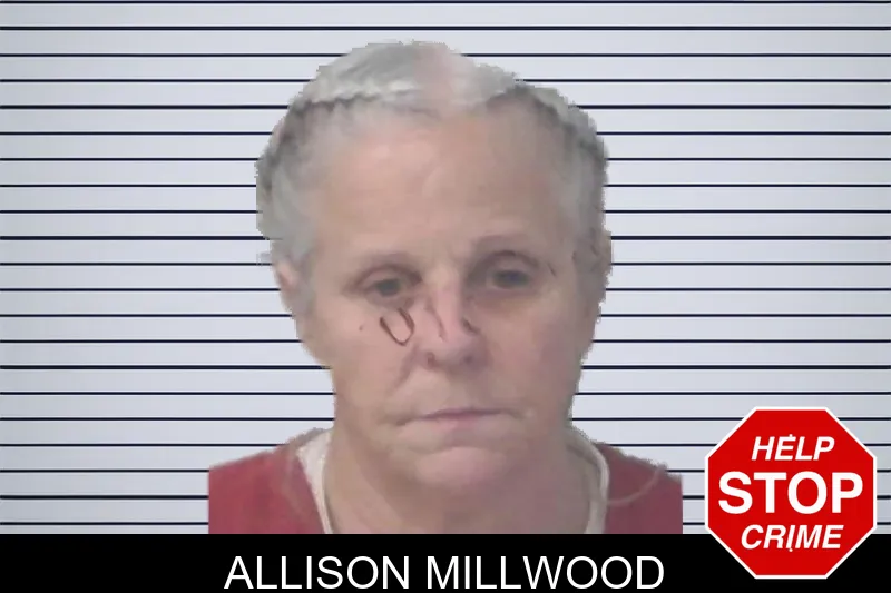 Allison Millwood mugshot