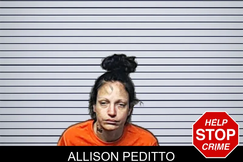 Allison Peditto mugshot