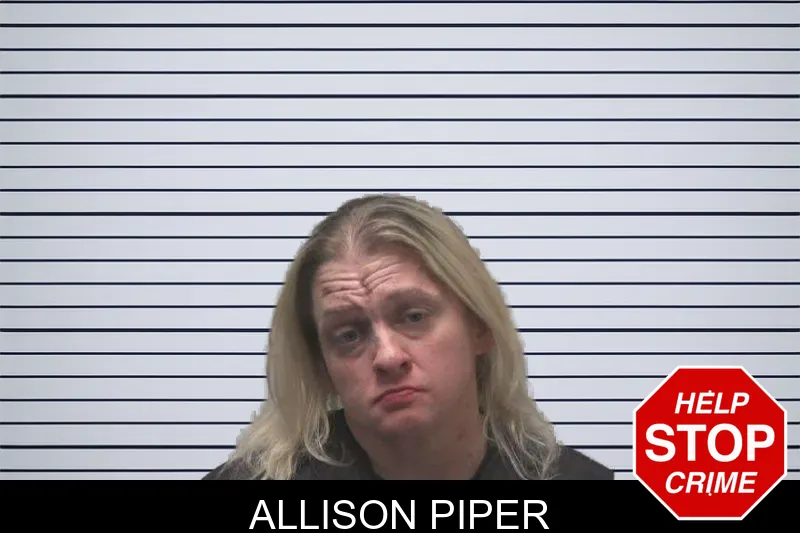 Allison Piper mugshot