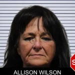 Allison Wilson mugshot