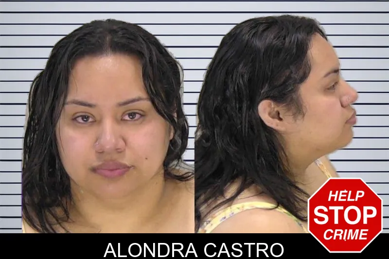Alondra Castro mugshot
