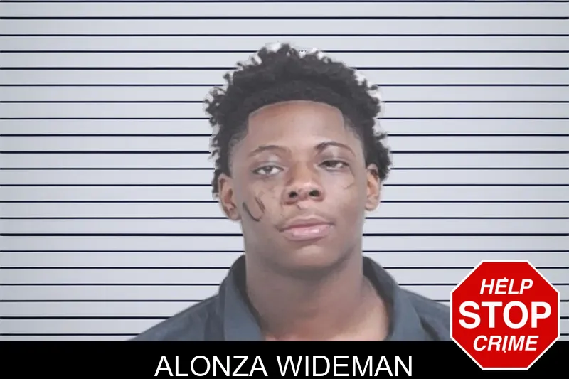 Alonza Wideman mugshot – Lowndes County , Georgia Alonza Wideman mugshot