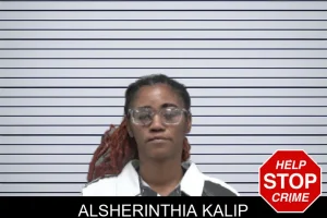Alsherinthia Kalip mugshot