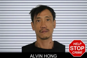 Alvin Hong mugshot