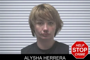 Alysha Herrera mugshot