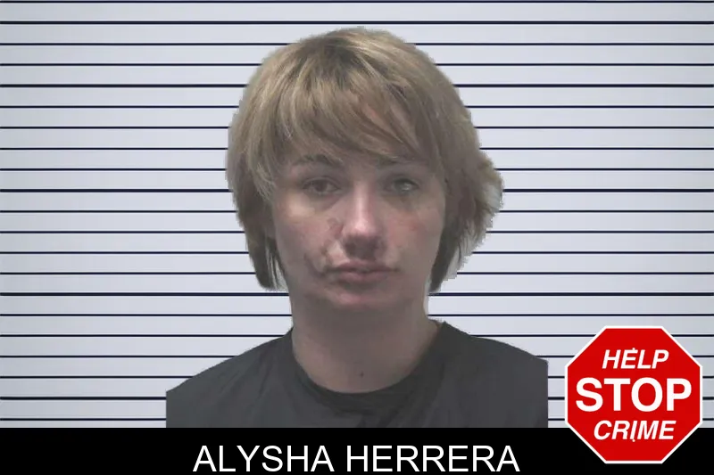 Alysha Herrera mugshot